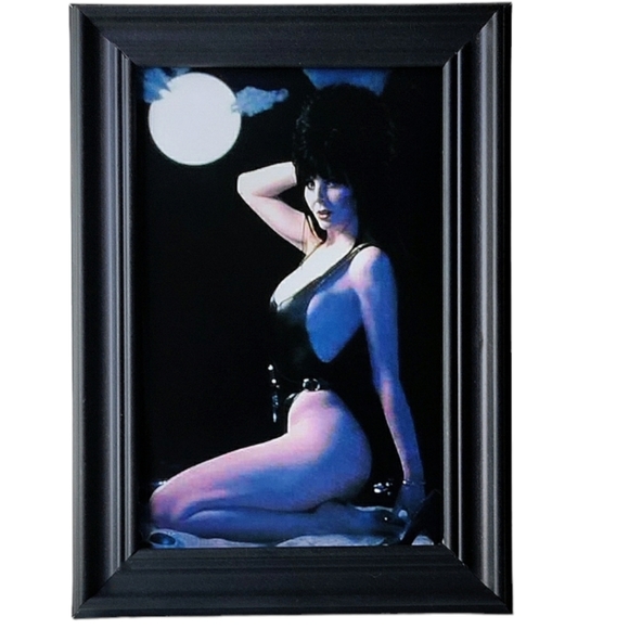 Elvira Horror Queen Cult Classic Gothic Punk Rock 80s 90s framed print - Picture 6 of 6